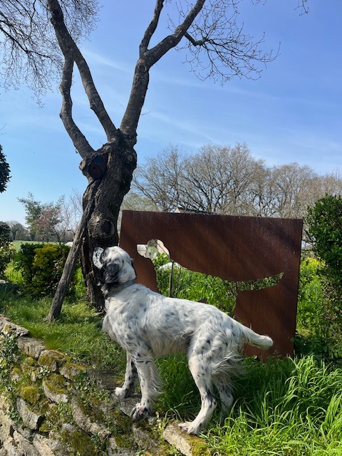 Tôle décorative en acier corten avec motif de chien découpé sur mesure